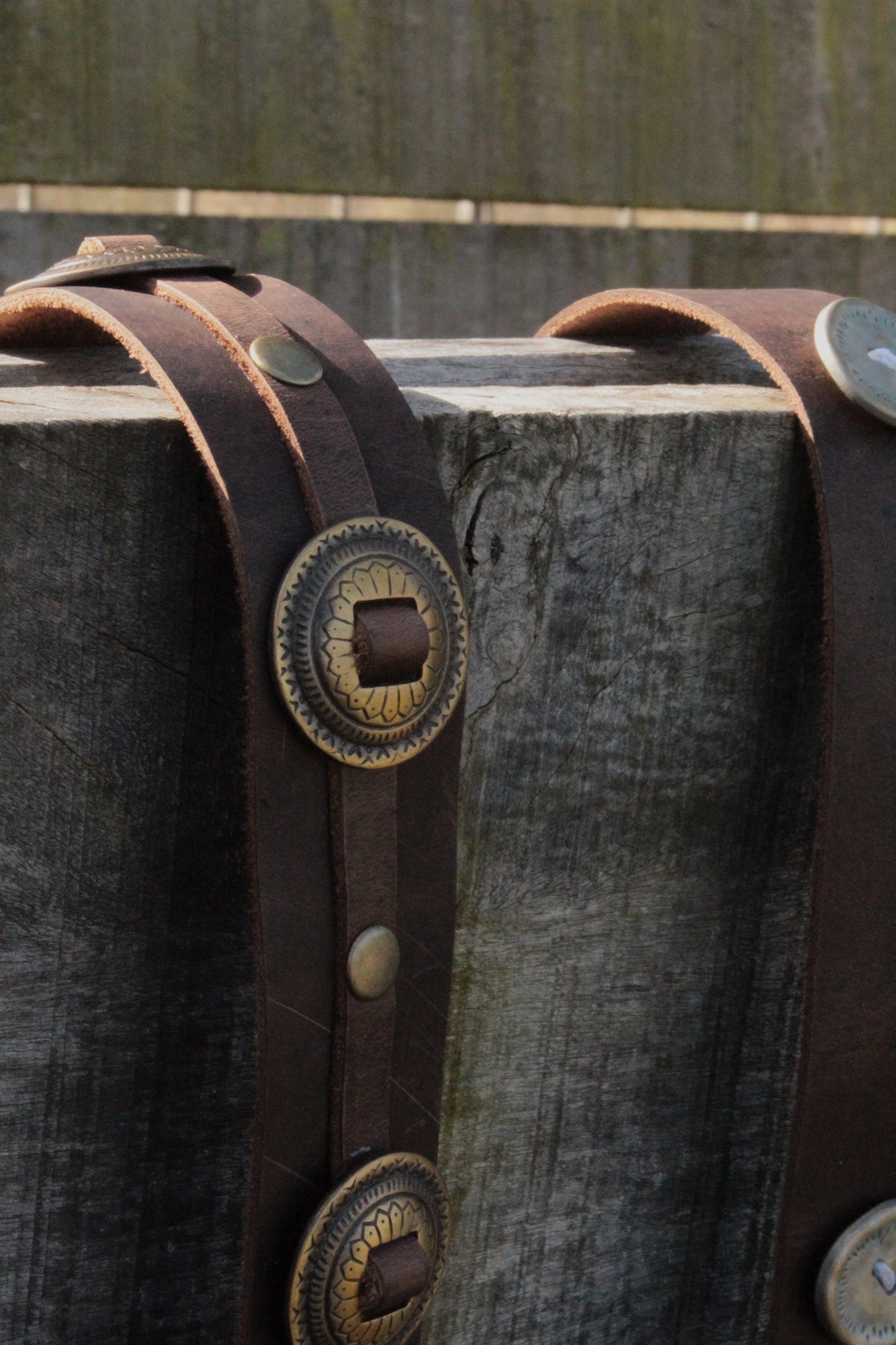 Estampa Belt - Monedas