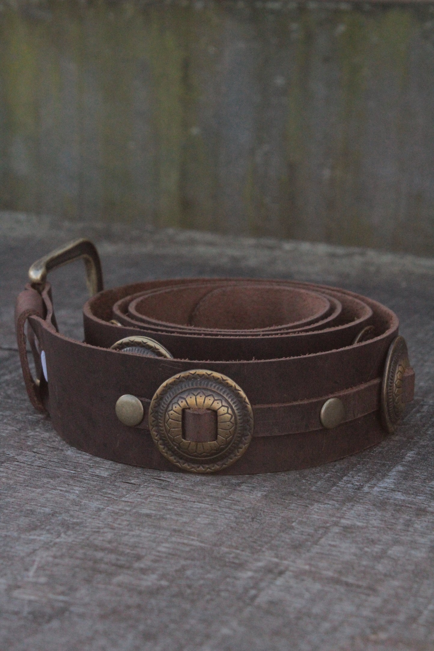 Estampa Belt - Monedas